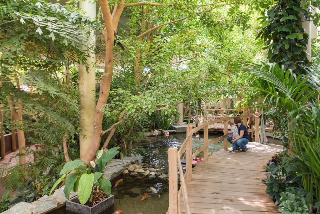 Center Parcs Port Zelande Beach آودورب المظهر الخارجي الصورة